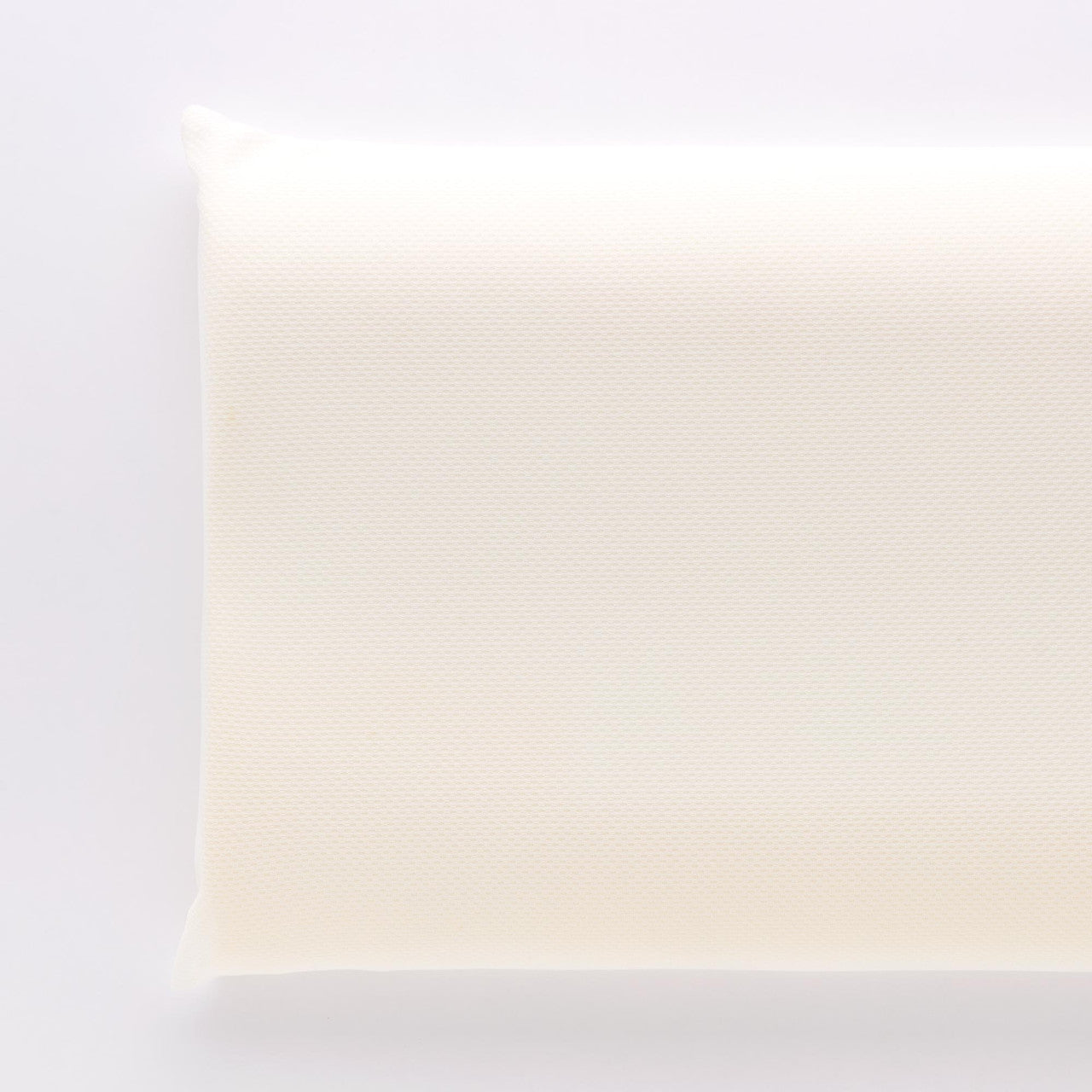 GUANCIALE MEMORY 0101