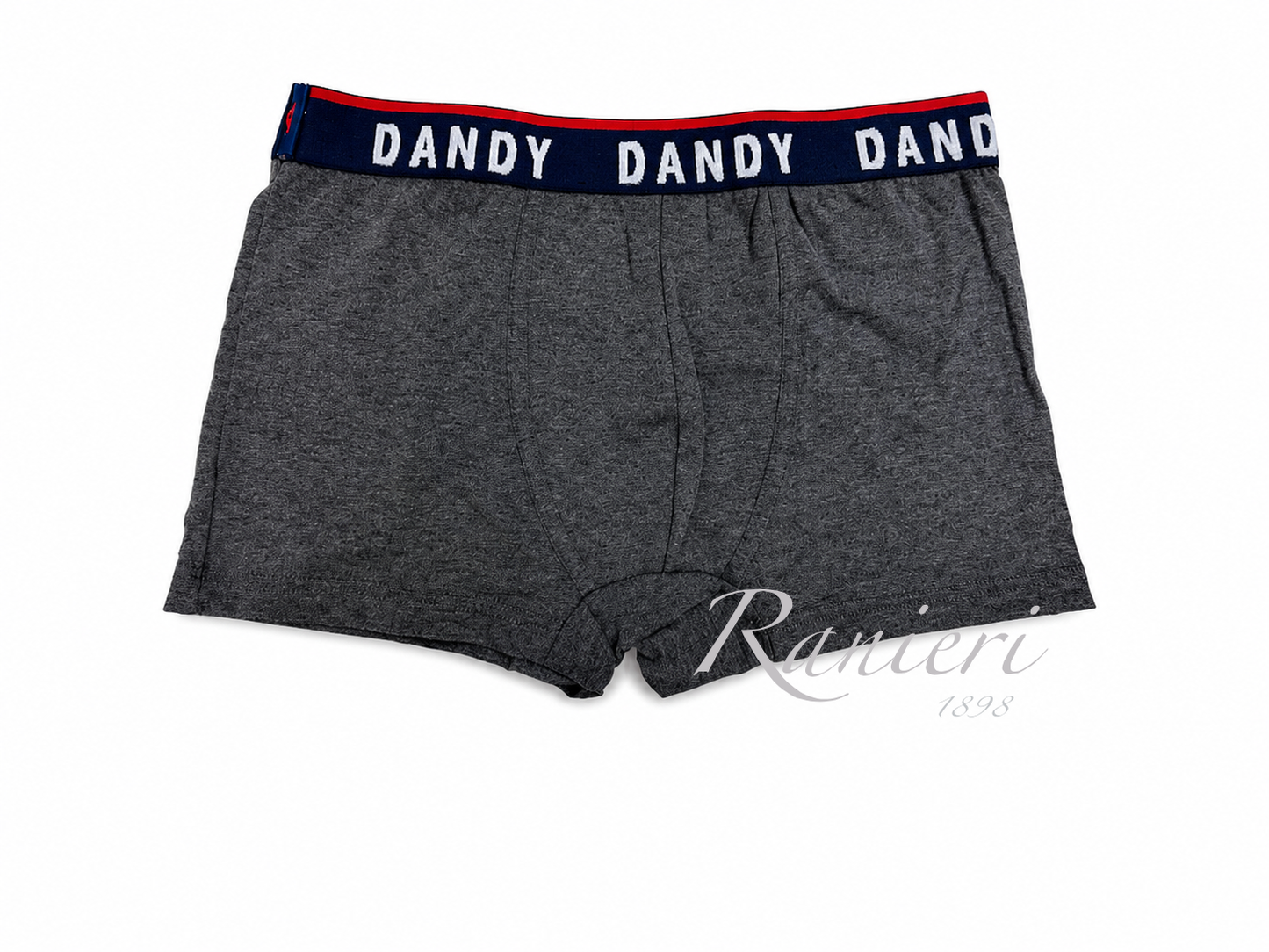 Set 3 Boxer Uomo Assortiti Dandy Art. 253BF in Cotone Elasticizzato