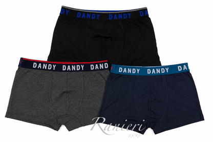 Set 3 Boxer Uomo Assortiti Dandy Art. 253BF in Cotone Elasticizzato
